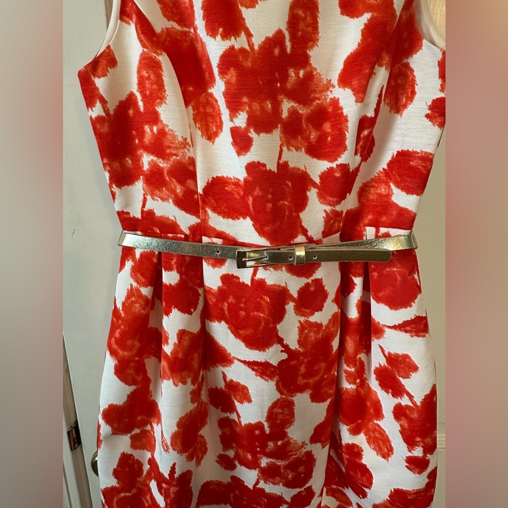 Eliza J Floral Red and White Dress with Belt - Picture 3 of 9